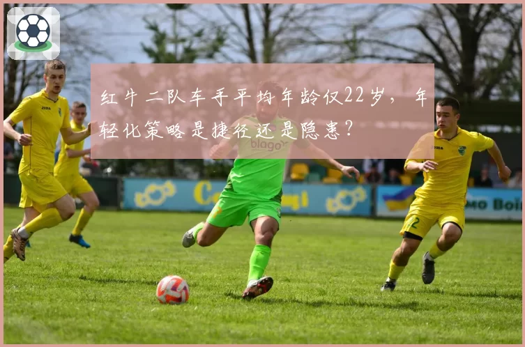 红牛二队车手平均年龄仅22岁,年轻化策略是捷径还是隐患?